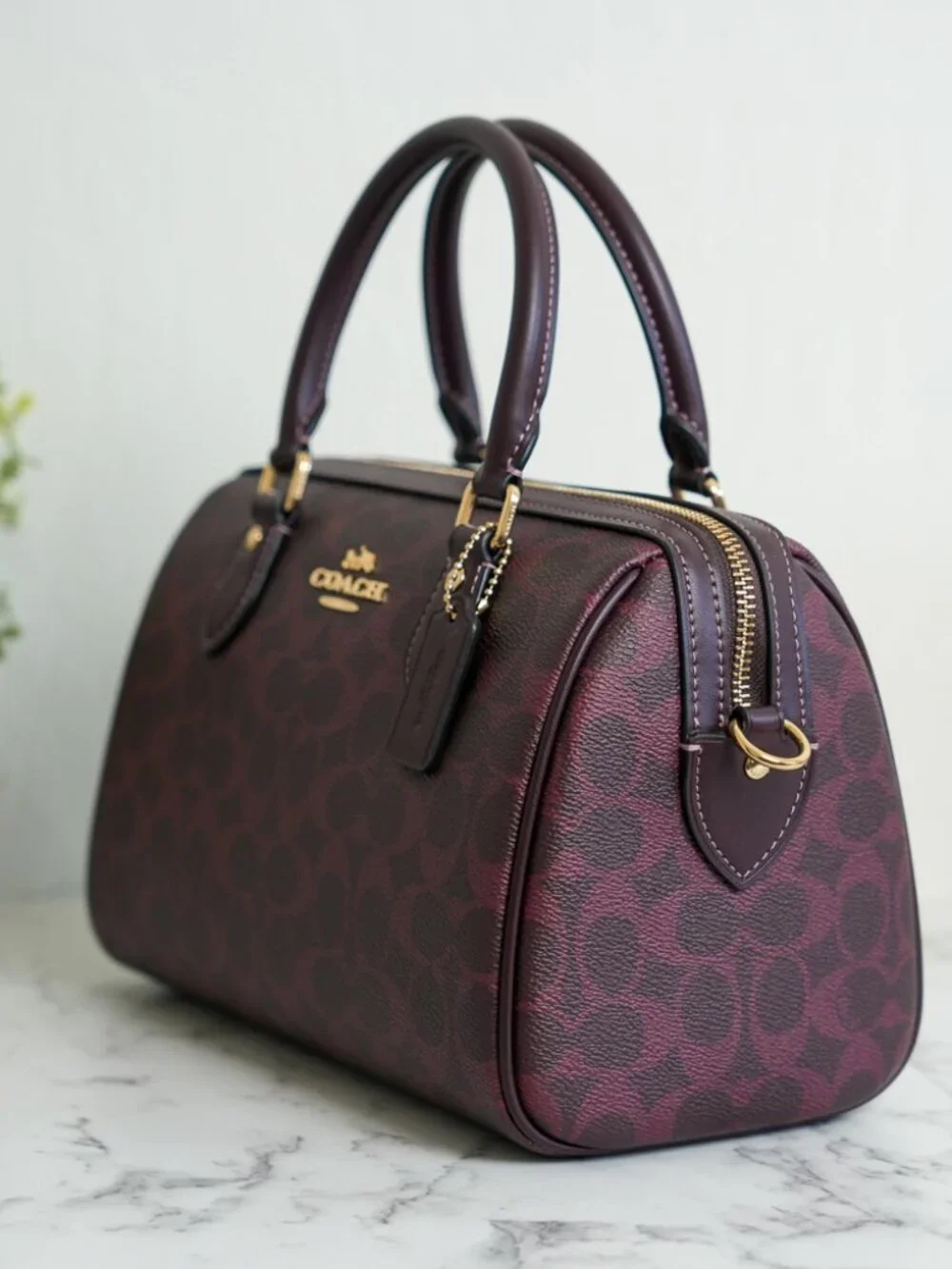 Coach cv961 rowan